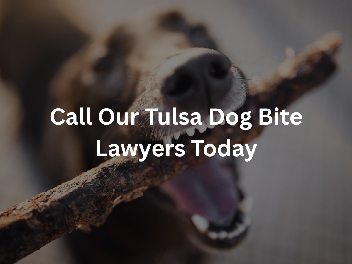 tulsa-dog-bite-attorney